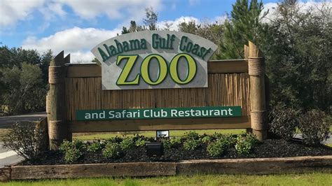 Alabama Gulf Coast Zoo opens new location | WPMI