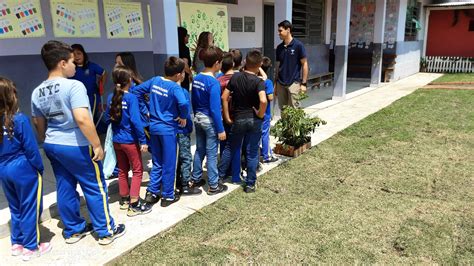 Apremavi Ministra A Es De Educa O Ambiental No Paran Apremavi