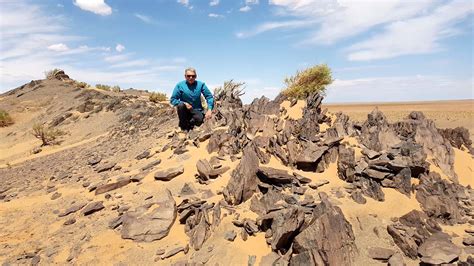 Dans Le D Sert De Gobi En Mongolie Par Jacques Marie Bardintzeff