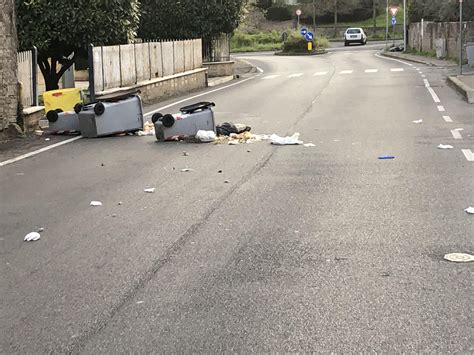 La verità di una raccolta differenziata piena di errori portata alla