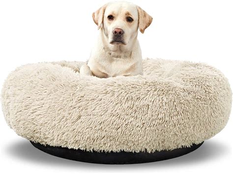 Amazon Dog Beds Round at Phil Bartlett blog