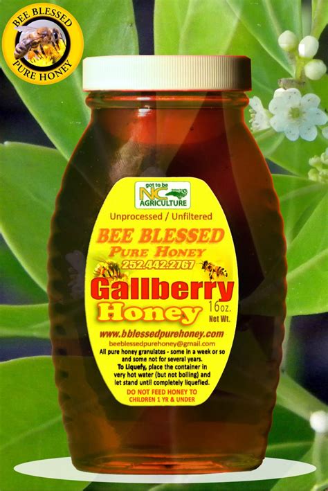 Gallberry Bee Blessed Pure Honey