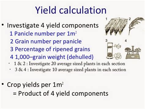 Nature And Farming Rice Production Chapter 18 Yield Calculation