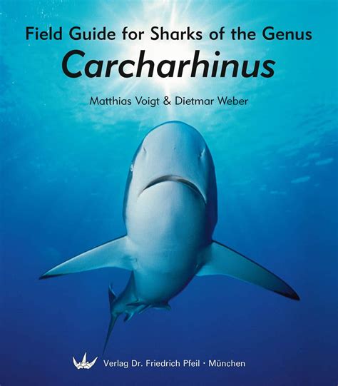 Field Guide for Sharks of the Genus Carcharhinus - Dr. Friedrich Pfeil Publishing