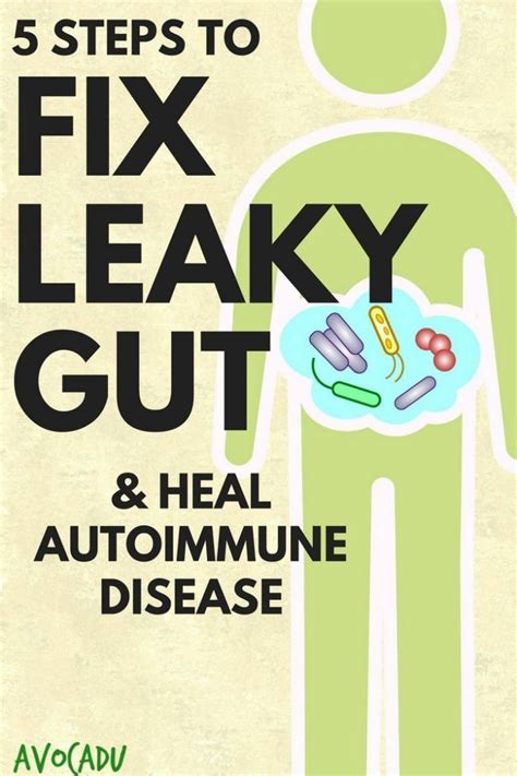 5 Steps To Fix Leaky Gut And Heal Autoimmune Disease Heal Leaky Gut