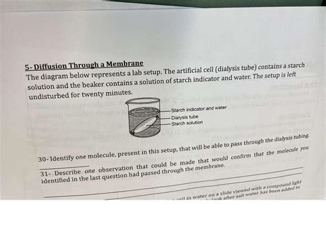 Solved 5-Diffusion Through a MembraneThe diagram below | Chegg.com