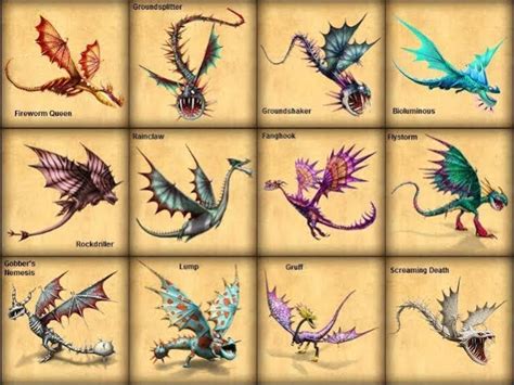 How To Train Your Dragon Dragons Types