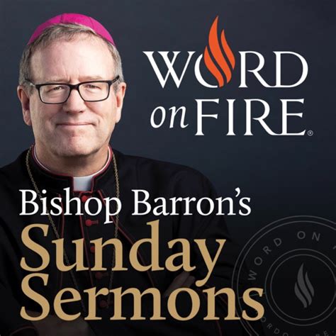 Time To Get Back To Basics Bishop Barrons Sunday Sermons Catholic