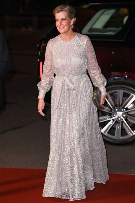 Sophie Wessex Looks Elegant In Silver Gown As She Joins Prince Edward At Royal Variety Ok