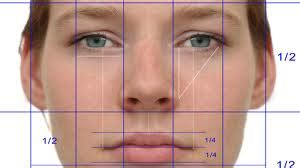 Facial Symmetry Dr Barry Eppley Indianapolis Explore Plastic Surgery