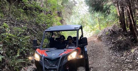 From Madeira Private Buggy Driving Experience With Pick Up GetYourGuide