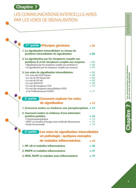 Solution Voies De Signalisation Cellulaire Studypool