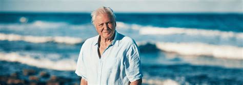 OCEAN with David Attenborough | What's On in Cape Town