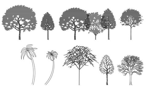 Landscape Tree CAD Block Elevation Design - Cadbull