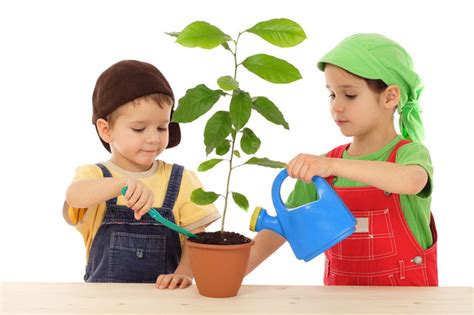 8 Tips How To Take Care Of Houseplants Hirerush Blog