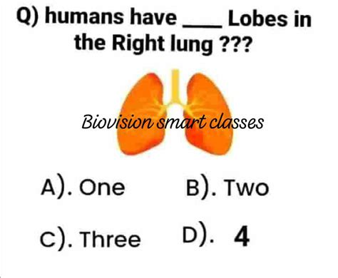 Students Are Studying Why The Right Lung Has Three Lobes - RYZE Superfoods