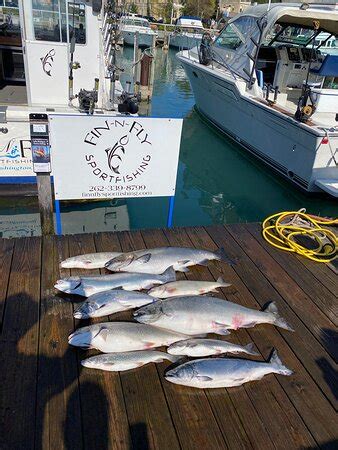 Fin N Fly Sportfishing Port Washington Tripadvisor