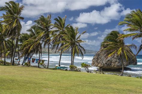 Bathsheba, Barbados stock image. Image of carribbean, beach - 674103