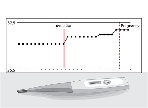 Does Birth Control Affect Basal Body Temperature Fleur Womens Health