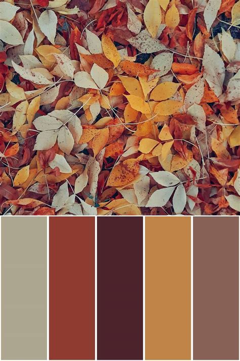 Fall Color Palette Inspired by Fall Leaves - With Hex Codes