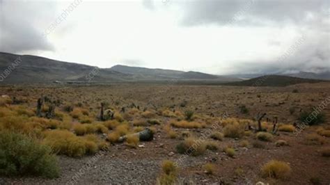 Mojave desert after rain - Stock Video Clip - K004/6032 - Science Photo ...