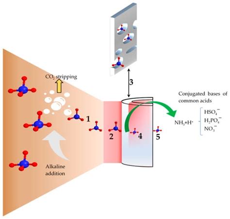 Membranes Free Full Text Membrane Technologies For Nitrogen