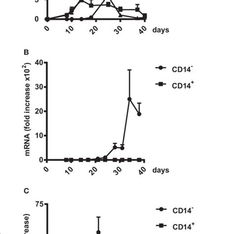 Upregulation Of Znf Hobit Mrna During Natural Killer Nk Cell