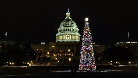 Us Capitol Christmas Tree Lit For 2021 Us Capitol Christmas Tree