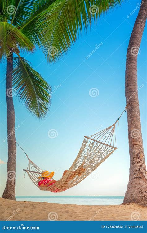 Young Girl Resting In A Hammock Under Tall Palm Trees Tropical Beach