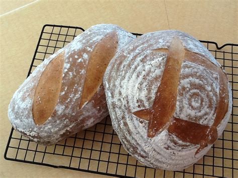 Sourdough Rosemary Potato Bread Recipes Recipe