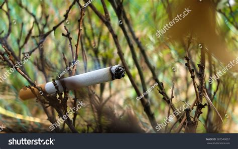 Smoking Causing Severe Environmental Pollution Hazardous Stock Photo 587549057 | Shutterstock