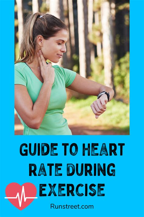 Guide to Heart Rate During Exercise — Runstreet