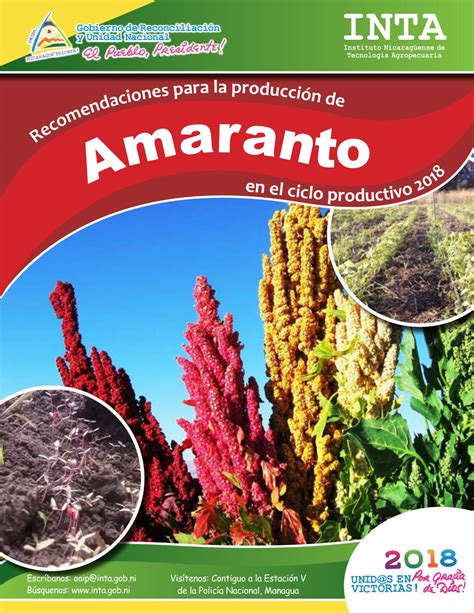 Recomendaciones para la producción de amaranto en el ciclo productivo ...