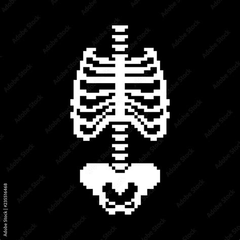 Rib cage and Spinal, Pelvic bone pixel art. Bones anatomy 8 bit ...