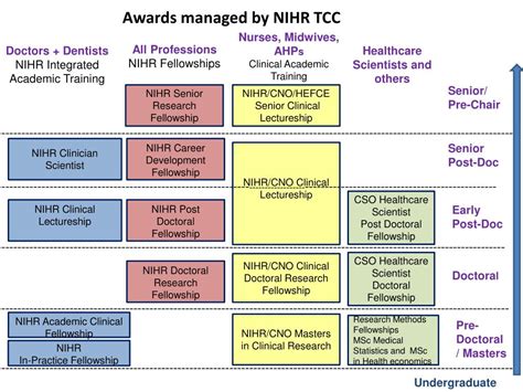 Ppt An Overview Of The Nihr Research Training Award Schemes Karen