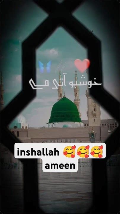 Inshallah 🥰🥰🥰 Ameen Trending Viralvideo Youtubeshorts Shortsviral