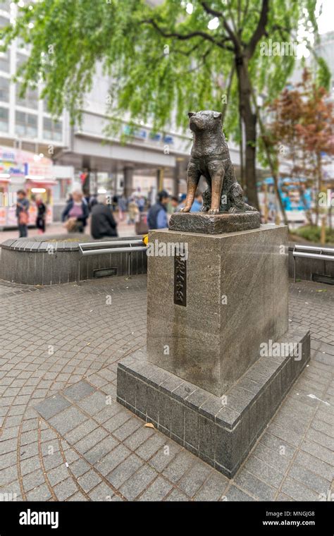 Statue Of Hachiko At Shibuya Station Tokyo Japan Stock Photo Alamy