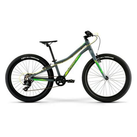 Купить Подростковый велосипед Merida Matts J.24+ Eco, год 2022, цвет ...