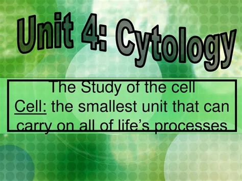 Ppt The Study Of The Cell Cell The Smallest Unit That Can Carry On