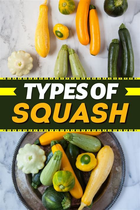 25 Types of Squash That Go Beyond Butternut - Insanely Good