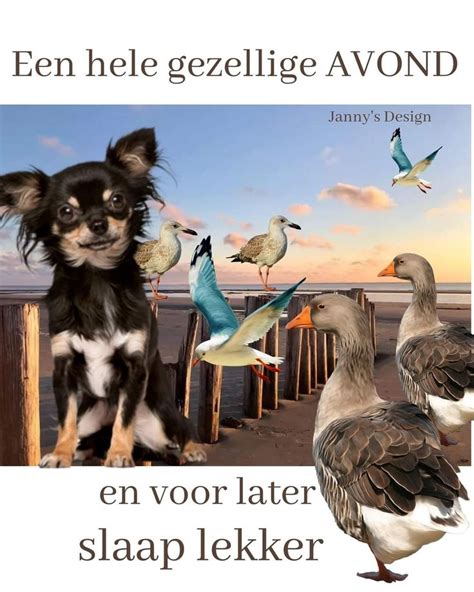 Pin Van Jenny Cats Op Avond Plaatjes Slaap Lekker Goede Nacht