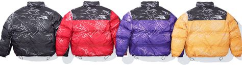 The North Face Trompe Loeil Printed Nuptse Jacket Spring Summer