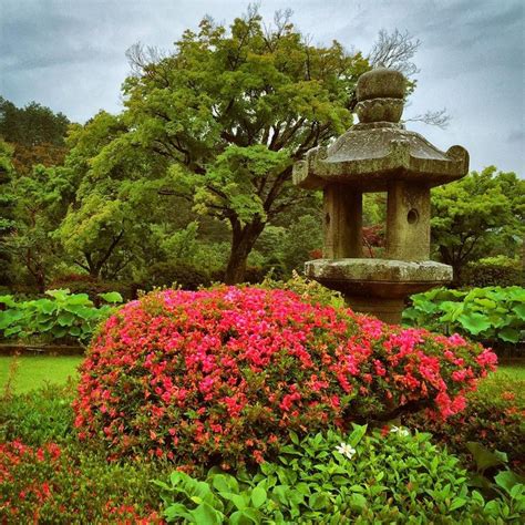 Flowers Lantern And Trees At Mimuroto Ji Temple