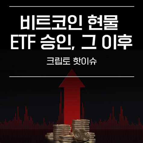 비트코인 현물 Etf 승인 그 이후 에임리치