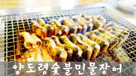 천호동맛집 강동구맛집 장어맛집 양도령숯불민물장어 천호회식장소추천 네이버 블로그