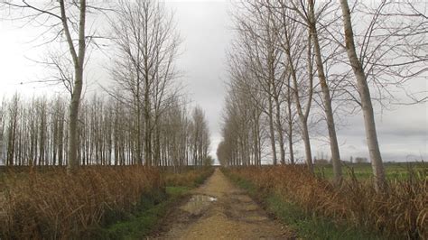 Landscapes Of The Camino De Santiago French Way Spain Landscapes Of The ...