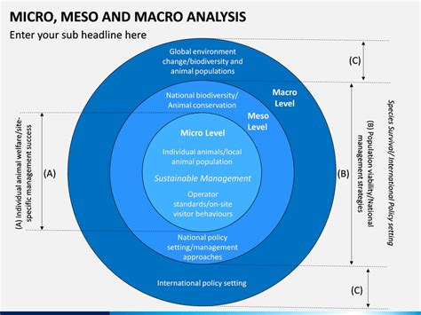 Micro Meso Macro Analysis PowerPoint and Google Slides Template - PPT Slides