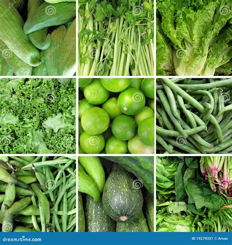 Groupe De Légume Vert Image Stock Image Du Accroissement 19279331