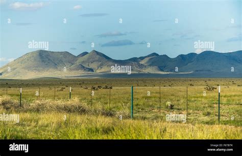 Big Bend National Park Star Hi Res Stock Photography And Images Alamy