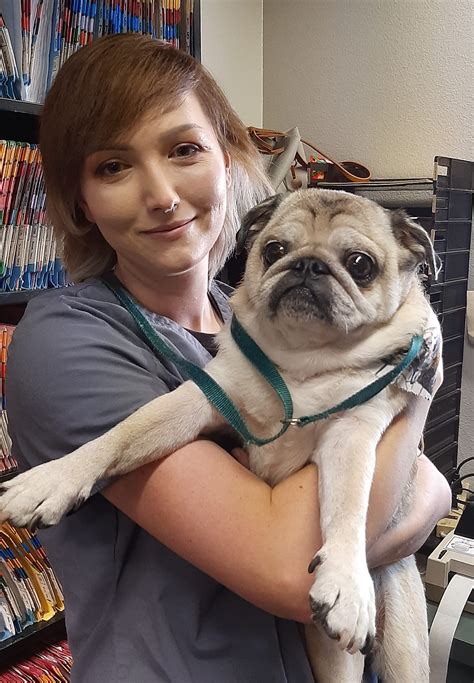 Mrs Petloves Boarding And Grooming Staff Sunnycrest Animal Care Center